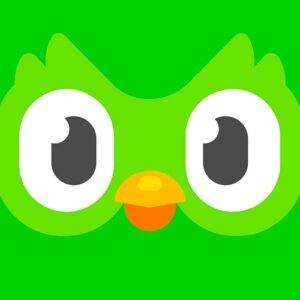 Duolingo logo